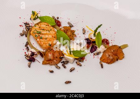 Un pezzo di pesce arrosto poggia su panna bianca, circondato da crispi di riso selvatico, fiori commestibili, semi di melograno e cipolle fritte croccanti – un piatto della degustazione serale del vino nel Rheinsaal del Kronenschlösschen a Hattenheim, Eltville am Rhein, Assia, Germania, il 24 febbraio 2017, parte del 21° Festival Gourmet & Vino del Rheingau. Foto Stock