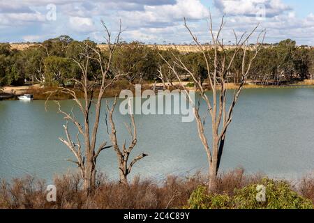 Il bellissimo fiume Murray a Blanchetown, nel riverland South Australia, il 20 giugno 2020 Foto Stock