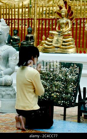 Chiang mai, Thailandia. 19 Nov 2009. Un adoratore prega al tempio Phra Tat Doi Suthep, il luogo sacro di culto buddista trovato sulla cima del monte Doi Suthep nella città settentrionale della Thailandia di Chiang mai, fondata nel 1386. Credit: Paul Lakatos/SOPA Images/ZUMA Wire/Alamy Live News Foto Stock
