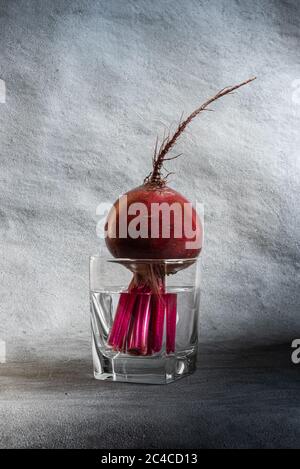 Primo piano di barbabietole rosse fresche e luminose con radice lunga in vetro quadrato riempito con acqua pulita. Sfondo grigio con texture verticale con spazio per la copia. Healt Foto Stock