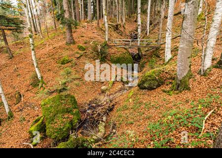 Colorata escursione autunnale vicino a Immenstadt nell'Allgau Foto Stock