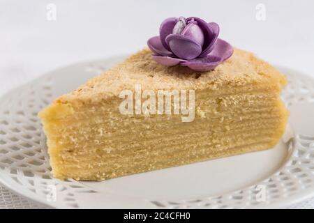 Torta a mille strati. Torta indonesiana. Spekkoek. Foto Stock