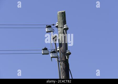 Vecchio palo del telegrafo, Germania Foto Stock