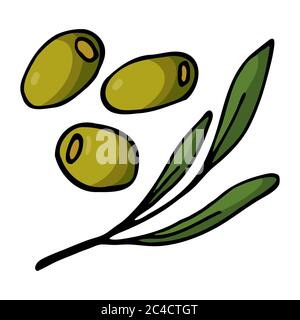 Verdeggiante tre olive e rammollire con foglie. Icona a forma di dodle disegnata a mano. Colorato isolato su sfondo bianco. Illustrazione vettoriale per i biglietti d'auguri Illustrazione Vettoriale