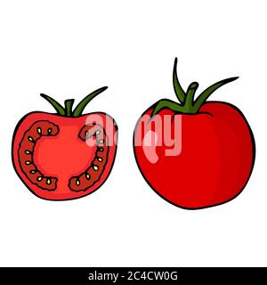 Pomodoro con gambo e foglia. Icona a forma di dodle disegnata a mano. Colorato isolato su sfondo bianco. Illustrazione vettoriale per biglietti d'auguri, poster Illustrazione Vettoriale
