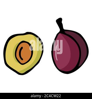 Prugna con nocciolo. Icona a forma di dodle disegnata a mano. Colorato isolato su sfondo bianco. Illustrazione vettoriale per biglietti d'auguri, poster, patch Illustrazione Vettoriale