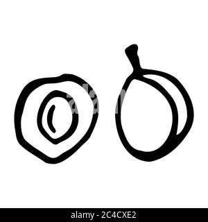 Prugna con nocciolo. Icona a forma di dodle disegnata a mano. Isolamento trasparente su sfondo bianco. Illustrazione vettoriale per biglietti d'auguri, poster, patch Illustrazione Vettoriale