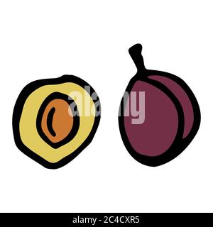 Prugna con nocciolo. Icona a forma di dodle disegnata a mano. Colorato isolato su sfondo bianco. Illustrazione vettoriale per biglietti d'auguri, poster, patch Illustrazione Vettoriale