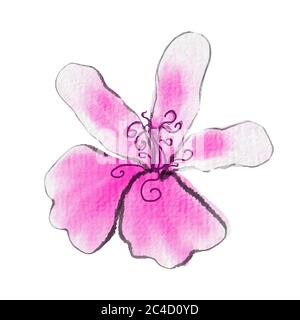 Motivo acquerello. Petalo di fiori rosa. Disegno acquerello vettorizzato. Fiori rosa Illustrazione Vettoriale