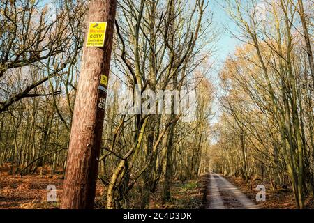 Cartello di avvertimento TVCC appena installato visto in alto su un palo in legno. Situato in un parco pubblico, in prossimità di una corsia rurale, soggetto ad attività criminali. Foto Stock