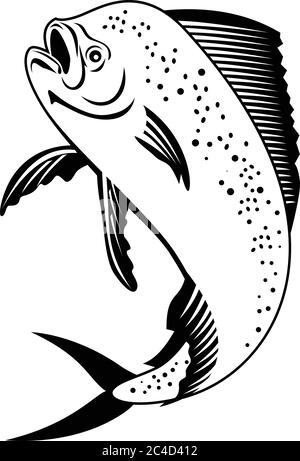 Illustrazione in stile retrò bianco e nero di un mahi-mahi, dorado, un comune delfinish o un delfino pesce visto dal lato saltando in su insieme su wh isolato Illustrazione Vettoriale