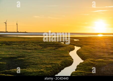 Gaomei Wetlands Area turbine eoliche in tempo di tramonto, un terreno pianeggiante che si estende su 300 ettari, anche un popolare punto panoramico nel quartiere di Qingshui Foto Stock