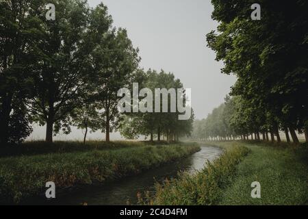 La curva del fiume che scorre tra file di alberi verdi decidui durante la nebbiosa mattina estiva con luce dell'alba Foto Stock