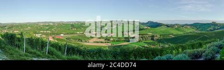 Vigneti di Alba, Langhe e Roero Foto Stock