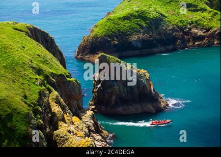 Gita in barca intorno a Ramsey Island St Davids Pembrokeshire Wales Foto Stock