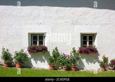 Finestre con fiori del Tirolo meridionale (Sudtirol) Foto Stock