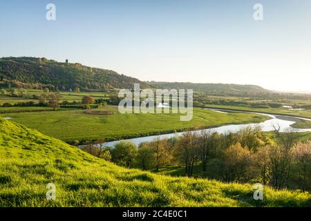 Towy Valley River Towy vicino a Llandeilo Carmarthenshire Wales Foto Stock