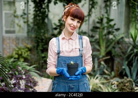 Donna giardiniere in tute jeans che tengono pianta in vaso con sporcizia o suolo. Giardinaggio bella donna che tiene pentola succulenta della pianta, che posa in serra Foto Stock