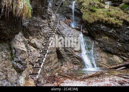 Cascata e scale di metallo in viaggio Sucha Bela, slovacco Paradise National Park Foto Stock