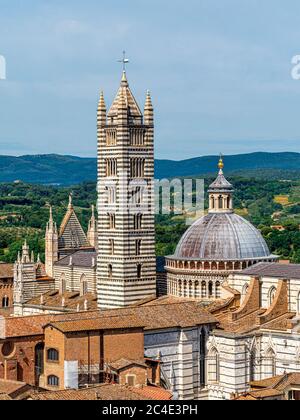 Il tetto a cupola e il campanile della Cattedrale di Siena. Siena. Italia. Foto Stock