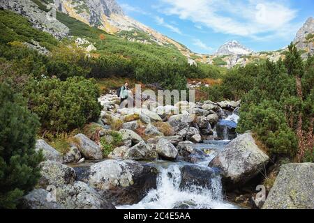 Donna turistica in piedi su un torrente di montagna su pietre con pineta e una cima sullo sfondo. Foto è stata scattata in alta Tatra montagne, vicino a. Foto Stock