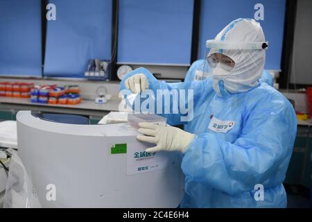 Pechino, Cina. 26 Giugno 2020. Un membro dello staff estrae l'acido nucleico da un campione presso il laboratorio di KingMed Diagnostics, una società cinese di test diagnostici medici a Pechino, capitale della Cina, all'inizio del 26 giugno 2020. Con 2,422 punti di raccolta dei campioni in 480 sedi in tutta la capitale, Pechino può ora offrire più di 300,000 test di acido nucleico per COVID-19 ogni giorno. Credit: JU Huanzong/Xinhua/Alamy Live News Foto Stock