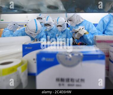 Pechino, Cina. 25 Giugno 2020. I membri del personale preparano i campioni prima di processare i test per gli acidi nucleici presso il laboratorio di KingMed Diagnostics, una società cinese di test diagnostici a Pechino, capitale della Cina, il 25 giugno 2020. Con 2,422 punti di raccolta dei campioni in 480 sedi in tutta la capitale, Pechino può ora offrire più di 300,000 test di acido nucleico per COVID-19 ogni giorno. Credit: Zhang Chenlin/Xinhua/Alamy Live News Foto Stock