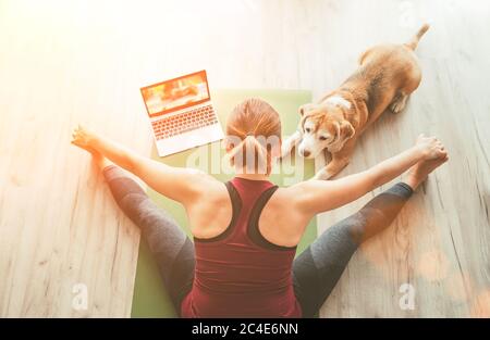 Donna sana e sportiva seduta sul tappetino in Upavistha Konasana posa, facendo esercizi di respirazione, guardando una lezione di yoga online sul computer portatile. La sua beagle d Foto Stock