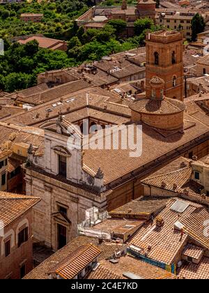 Vista aerea dei tetti in terracotta e della chiesa di San Martino. Siena. Italia Foto Stock