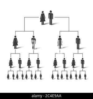 Albero genealogico. Diagramma ad albero della famiglia. Icone semplici di persone. Illustrazione vettoriale. Illustrazione Vettoriale