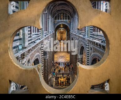 Vista in alto della navata e dell'altare, sparato attraverso una balaustra di pietra, Cattedrale di Siena, Italia. Foto Stock