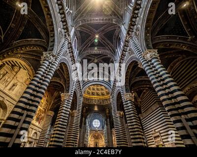 Vista interna del soffitto centrale supportato da colonne in marmo bianco e nero. Cattedrale di Siena. Italia. Foto Stock