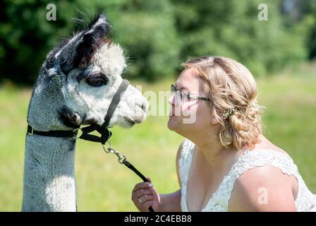 Langenhagen, Germania. 26 Giugno 2020. La sposa Sina Reichardt cerca di dare un bacio ad Alpaca Kiowa. La coppia di nozze Reichardt da Wedemark ha prenotato un evento di nozze in una fattoria di alpaca stud e celebrerà il loro matrimonio civile con gli animali. Credit: Hauke-Christian Dittrich/dpa/Alamy Live News Foto Stock