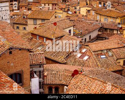 Vista elevata sui tetti in terracotta in una zona residenziale di Siena ad alta densità Foto Stock