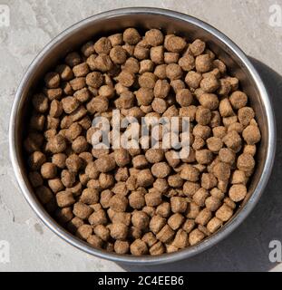 Cibo secco di cane carnoso in un piatto Foto Stock