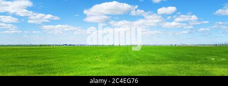 Paesaggio rurale panoramico. Campo verde luminoso e città all'orizzonte con vista panoramica del giorno. Foto Stock
