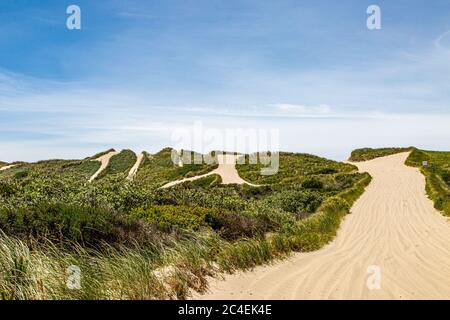 Percorsi attraverso dune di sabbia presso l'Oregon Dunes National Recreation Area, in una giornata estiva Foto Stock