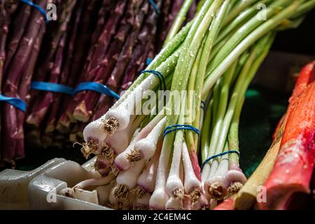 Cipollotti/capesante appena lavati in vendita su una bancarella di mercato Foto Stock