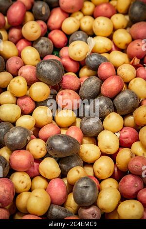 Un'abbondanza di patate rosse, viola e bianche per la vendita su una bancarella di mercato Foto Stock