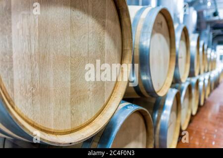Messa a fuoco selettiva. Fila di grandi botti di vino rosso di quercia francese in un moderno magazzino di vini Foto Stock