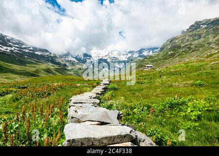 Muro di pietra in una valle italiana della Lombardia Foto Stock