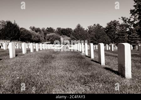 Arlington USA - Ottobre 26 2014; cimitero nazionale di Arlington cimitero storico di militari nazionali ed eroi in Virginia, di fronte al ponte di Lincol Foto Stock