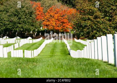 Arlington USA- Ottobre 26 2014; linee di punta del cimitero nazionale di Arlington cimitero cimitero storico di militari nazionali ed eroi in Virg Foto Stock