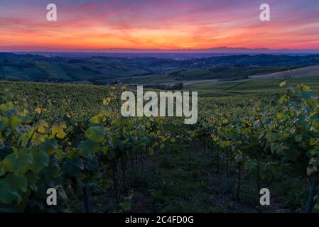 Incredibile tramonto rosso e viola sulle colline Pavese di Oltrepo con vigneti e strade di campagna Foto Stock