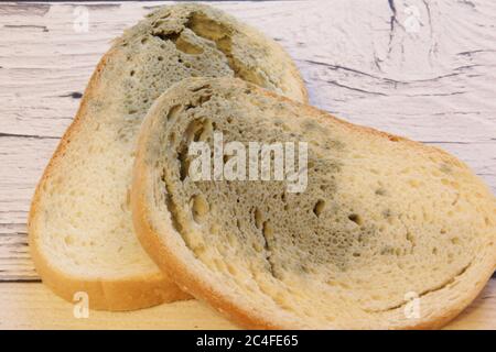 Muffa che cresce rapidamente su pane ammuffito su sfondo di legno. Muffa su una fetta di pane. Pane raffermo, coperto di muffa. Foto Stock