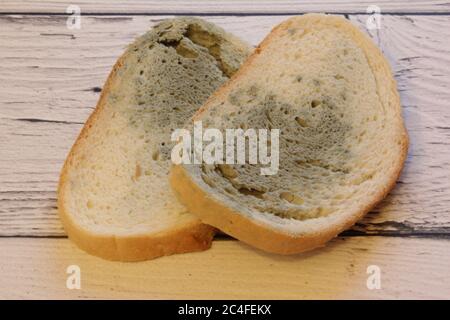 Muffa che cresce rapidamente su pane ammuffito su sfondo di legno. Muffa su una fetta di pane. Pane raffermo, coperto di muffa. Foto Stock