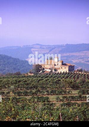 Villa e vigneto Toscana, Provincia di Lucca, Regione Toscana, Italia Foto Stock