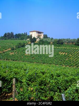 Villa e vigneto Toscana, Provincia di Lucca, Regione Toscana, Italia Foto Stock