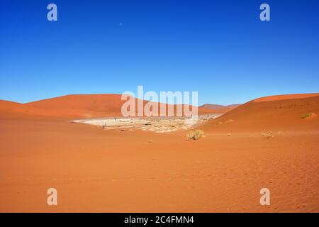 Splendido paesaggio con grandi dune rosse all'alba, Sossusvlei, Namib Naukluft National Park, Namibia Foto Stock