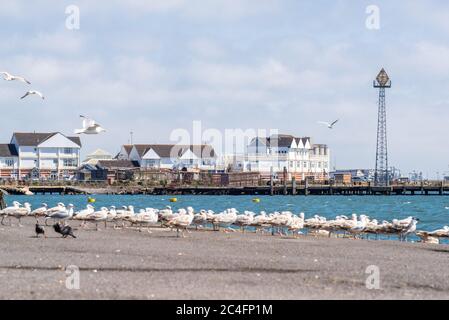 Edifici a Town Quay visti dal Mayflower Park a Southampton, Inghilterra, Regno Unito Foto Stock